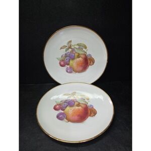 Schumann Arzberg Bavaria Germany Fruit Plates 7 1/2" Set Of 2 Vintage